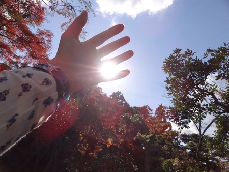 Sunburst through outstretched palmの素材