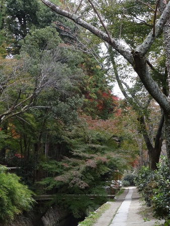 Philosophers Path Kyoto Japanの素材