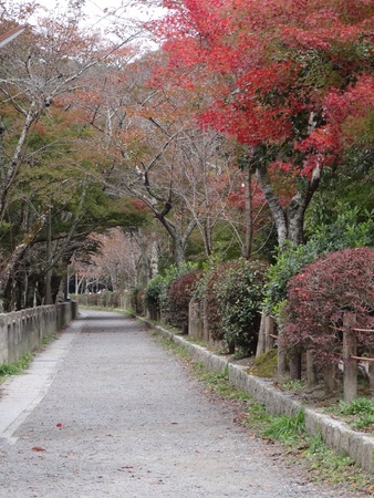 Philosophers Path Kyoto Japanの素材
