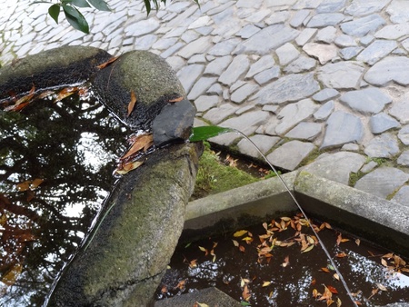 Fountain in a gardenの素材