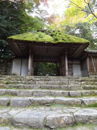 Moss on a rooftop of an entranceの素材