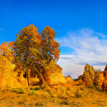 Beautiful AI generated landscape