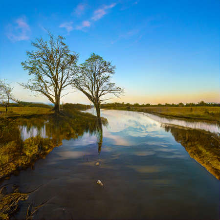 Scenic AI generated landscape