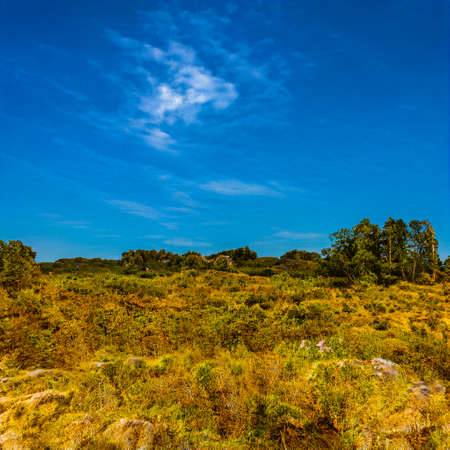 AI generated rocky landscape