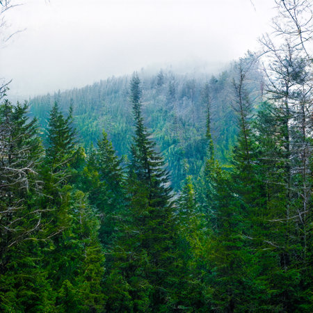 Scenic AI generated forest view