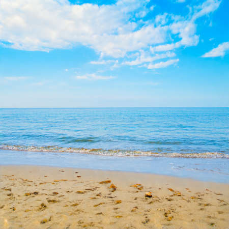 Scenic AI generated beach