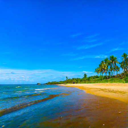 Scenic AI generated beach
