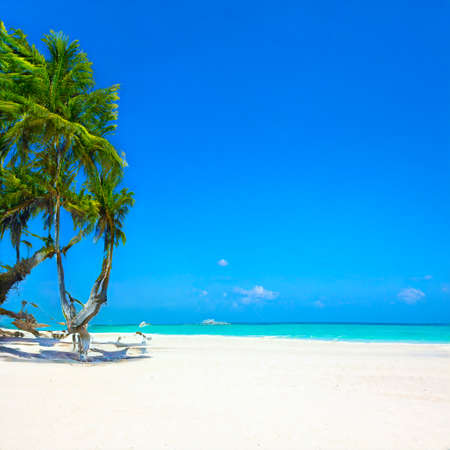 AI generated sunny beach
