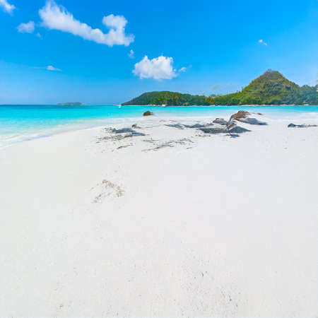 AI generated beach and island