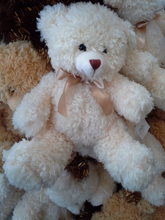 Soft bear toy with ribbon の素材