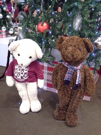 Gift teddies for xmasの素材