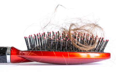 Comb hair with tufts, bundle of hair, lots of hair on the hairbrush closeup on a white backgroundの写真素材