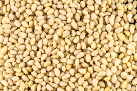 pine nuts, pinenuts backgroundの写真素材