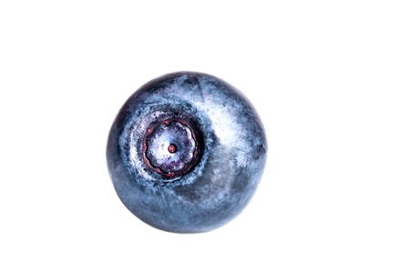 Bilberry macro view isolated on white backgroundの写真素材