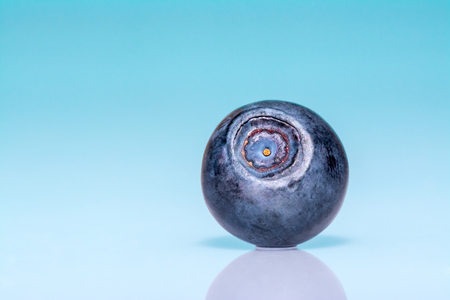 Bilberry macro view on blue background with reflectionの写真素材