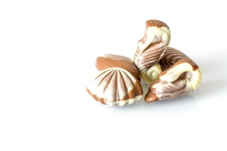 Chocolate candy in the form of sea shells on white table with reflection isolated on white backgroundの写真素材