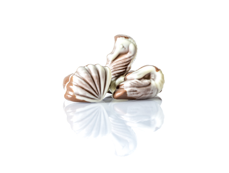 Chocolate candy in the form of sea shells on white table with reflection isolated on white backgroundの写真素材