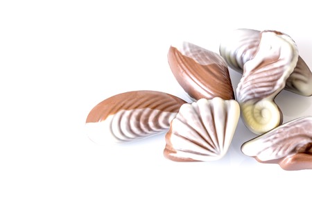 Chocolate candy in the form of sea shells on white table with reflection isolated on white backgroundの写真素材