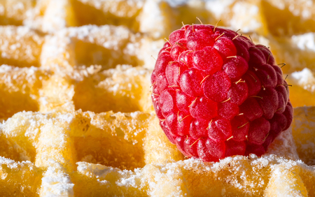 Sweet toast belgian waffles with raspberry and sugar powder in sunlight close-up macro texture backgroundの写真素材