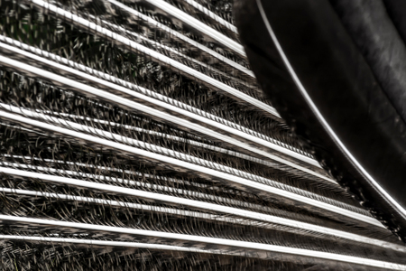 Peacock feathers close-up macro texture backgroundの写真素材