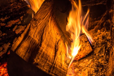 Firewood burning in an old fireplace close up