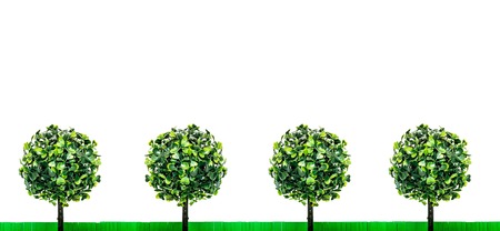 Paper green grass and toy trees with green leaves, standing exactly in a row, isolated on a white background. Fun summer landscape composition on the theme of good sunny weather with free copy space.の写真素材