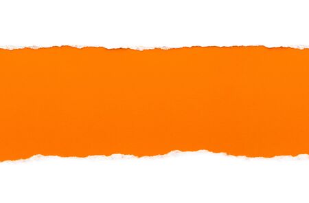White paper with torn edges isolated with a bright orange color paper background inside. Good paper textureの写真素材