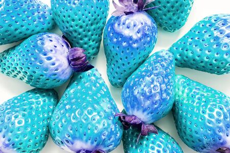 Background of strawberries closeup in the 2020 color trend. Blue strawberries. Creative ideaの写真素材