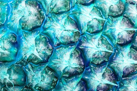 Creative macro photo of pineapple fruit background texture close-up in 2020 color trend in blue tones. Blue pineapple. Creative ideaの写真素材