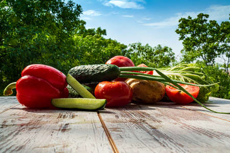Different vegetables with water drops on a plate on a wooden table in nature background.の写真素材