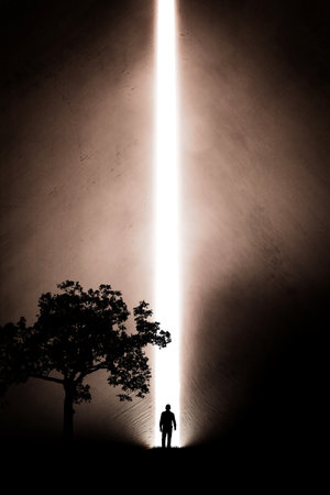 A silhouette of a man in nature next to a tree, walking towards a bright light. The concept of...