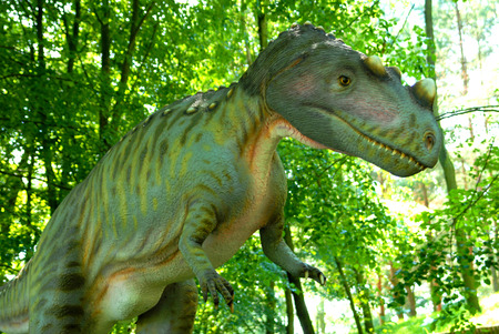 Ceratosaurus nasicornis, Ceratosaur, dinosaurs series, jurassic park, education, concept