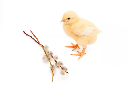 Happy Easterの写真素材