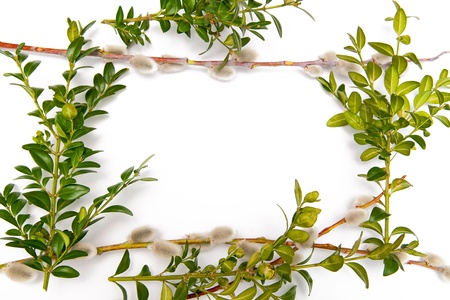 Easter frameの写真素材