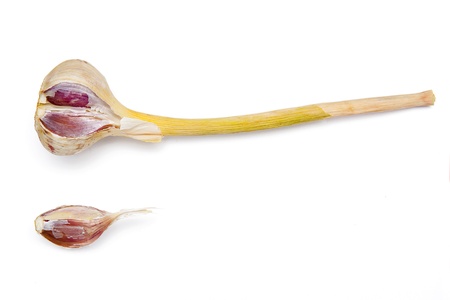 Garlicの写真素材