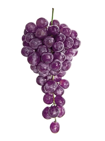 Grapesの写真素材