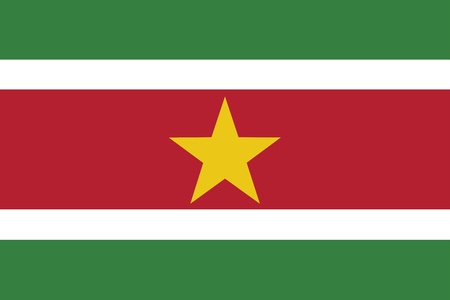 Flag of Surinameのイラスト素材