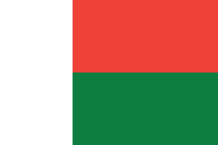 Flag of Madagascarのイラスト素材