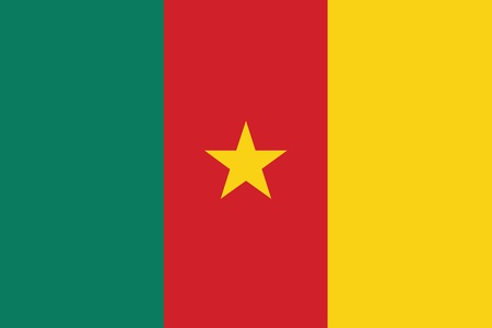 Flag of Cameroonのイラスト素材