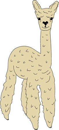 Cute lama alpaca のイラスト素材