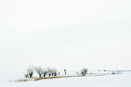 Wintertimeの写真素材