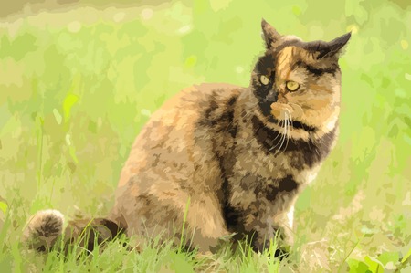 Cat illustrationのイラスト素材