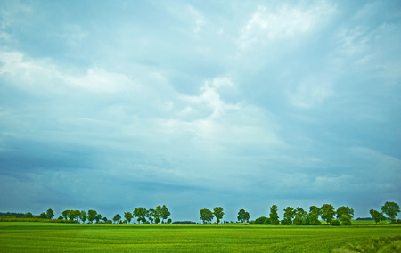 Cloudy landscapeの写真素材