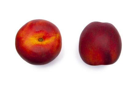 Two nectarine isolated on white backgroundの写真素材