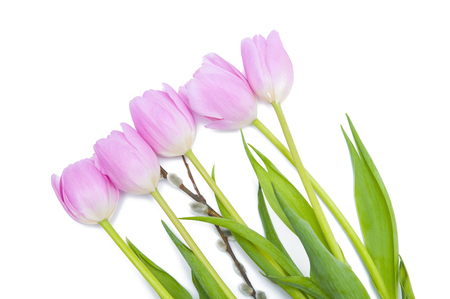 Happy Easter isolated on white backgroundの写真素材