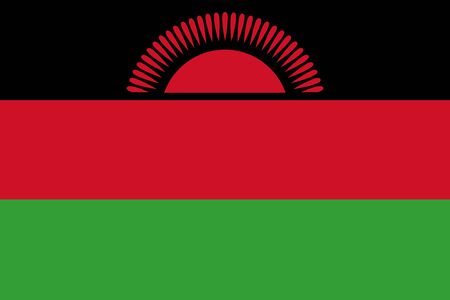Flag of Malawi vector illustrationのイラスト素材