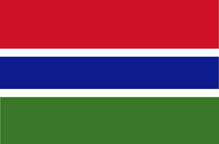 Flag of the Gambia vector illustrationのイラスト素材