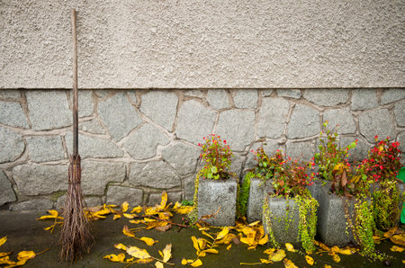 Autumn landscape with yellow leavesの写真素材