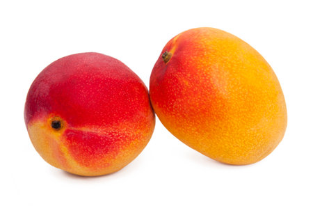 Two mango fruits isolated on white backgroundの写真素材