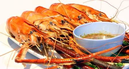Prawn on dishの写真素材